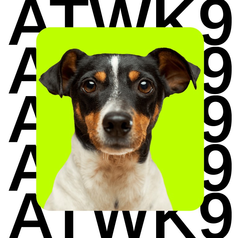 ATWK9 — showcase